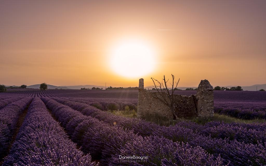 Bed and Breakfast Les Terrasses De Valensole Exterior foto