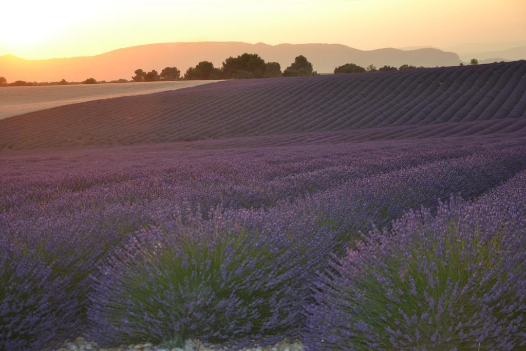 Bed and Breakfast Les Terrasses De Valensole Exterior foto