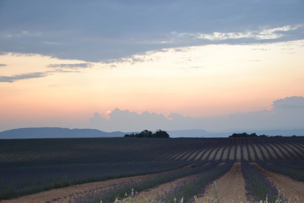 Bed and Breakfast Les Terrasses De Valensole Exterior foto